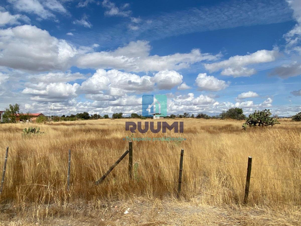 Terreno rústico de 1 hectárea en venta en El Llano, ideal casa de campo — foto 4