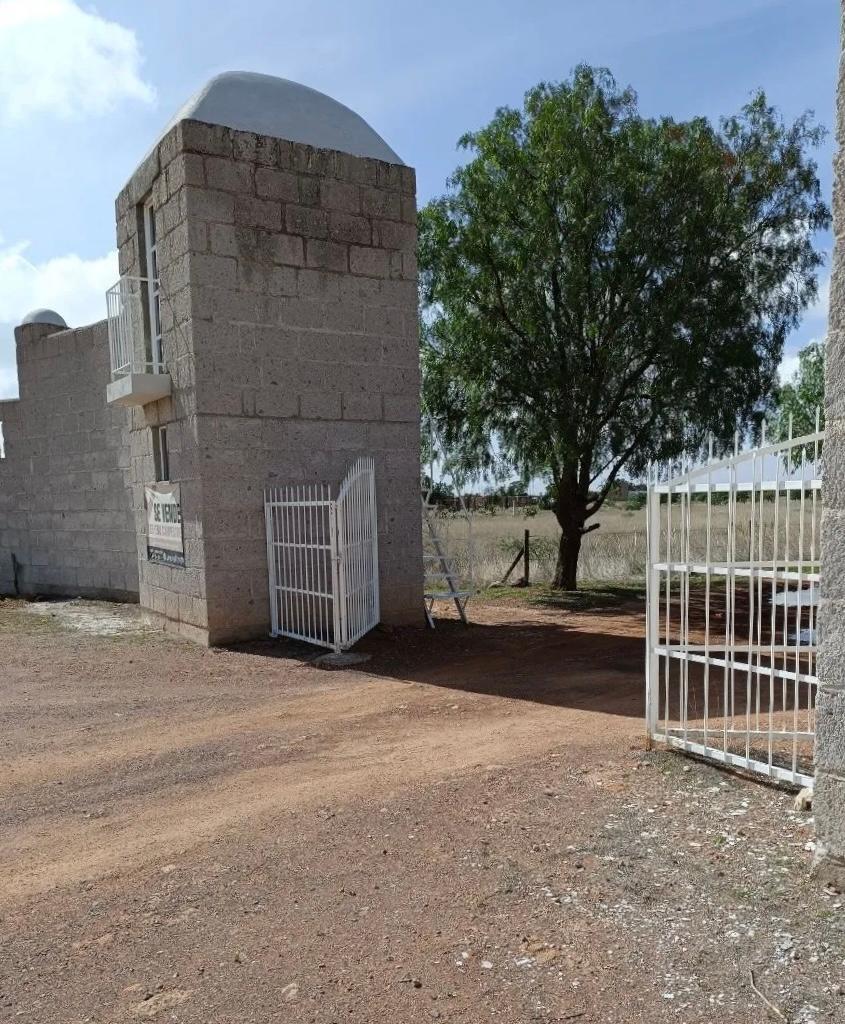 Terreno rústico de 1 hectárea en venta en El Llano, ideal casa de campo — foto 3